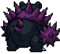 Slowost back
