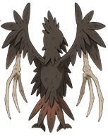 Touskeleton back